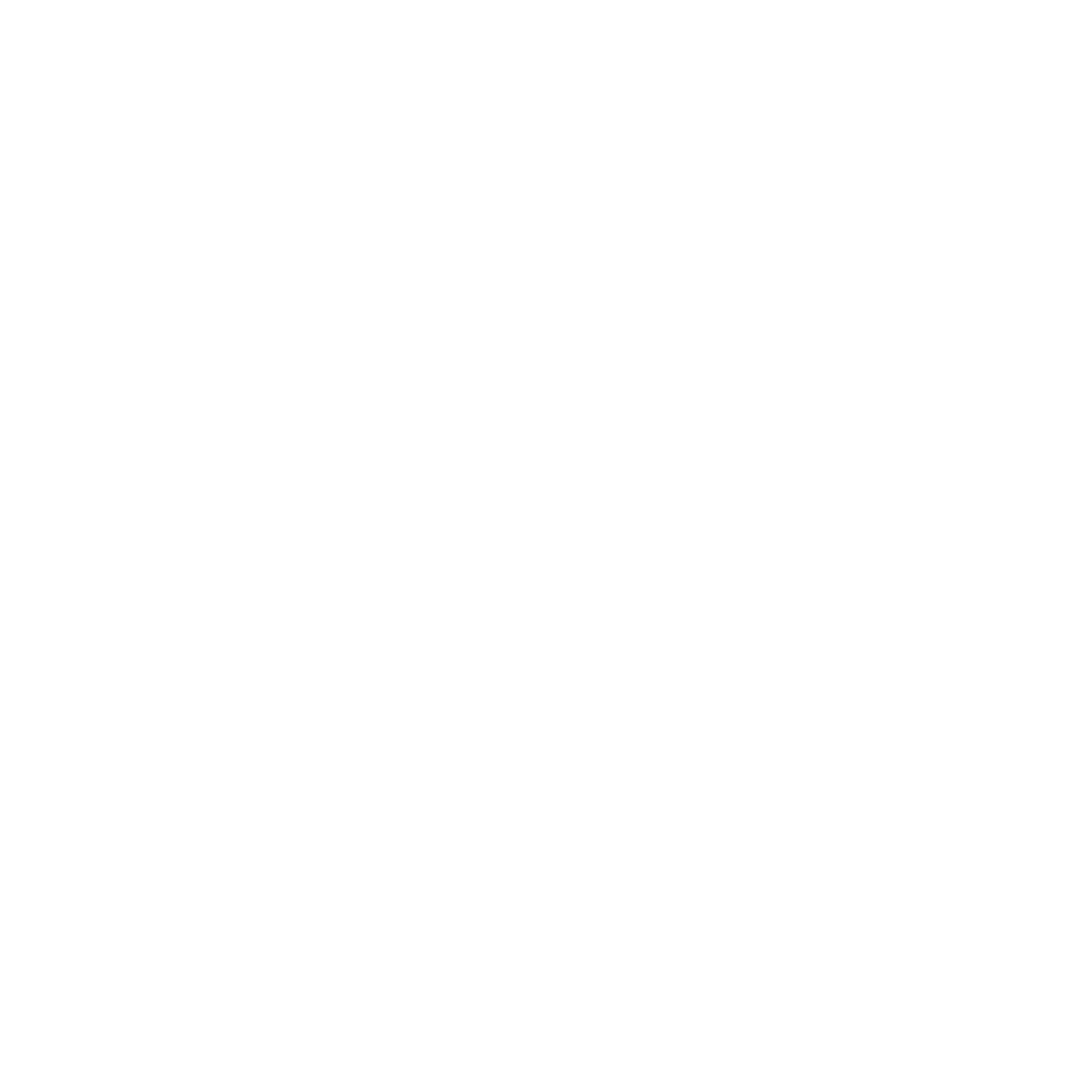 Sngular