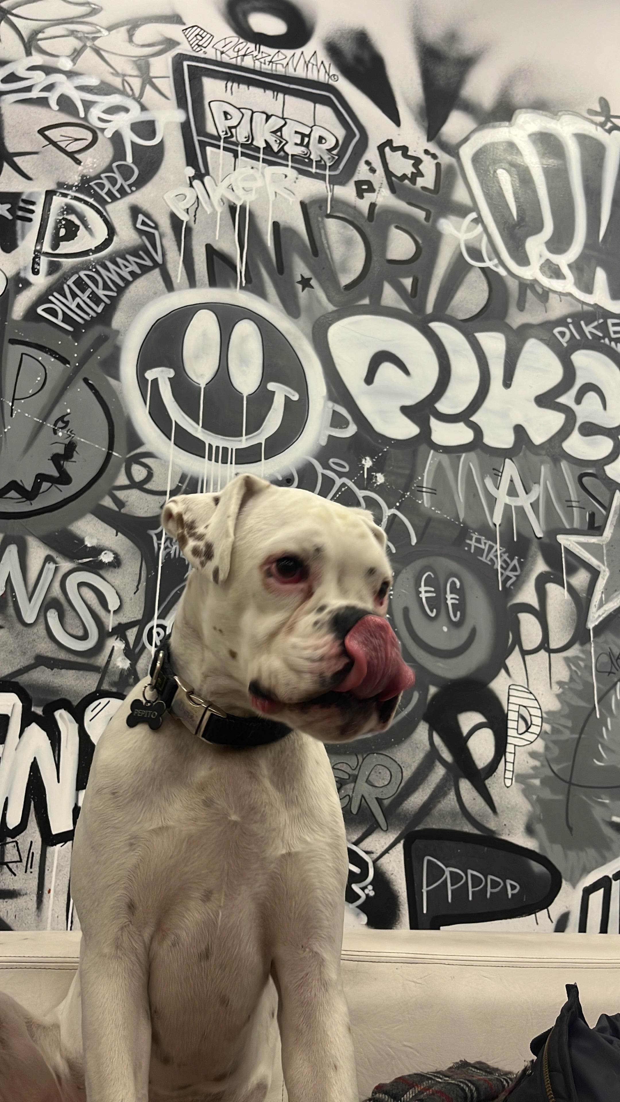 Título: Diseño Interior Streetwear: Mural Graffiti B&N Pikermans Store | Rivas