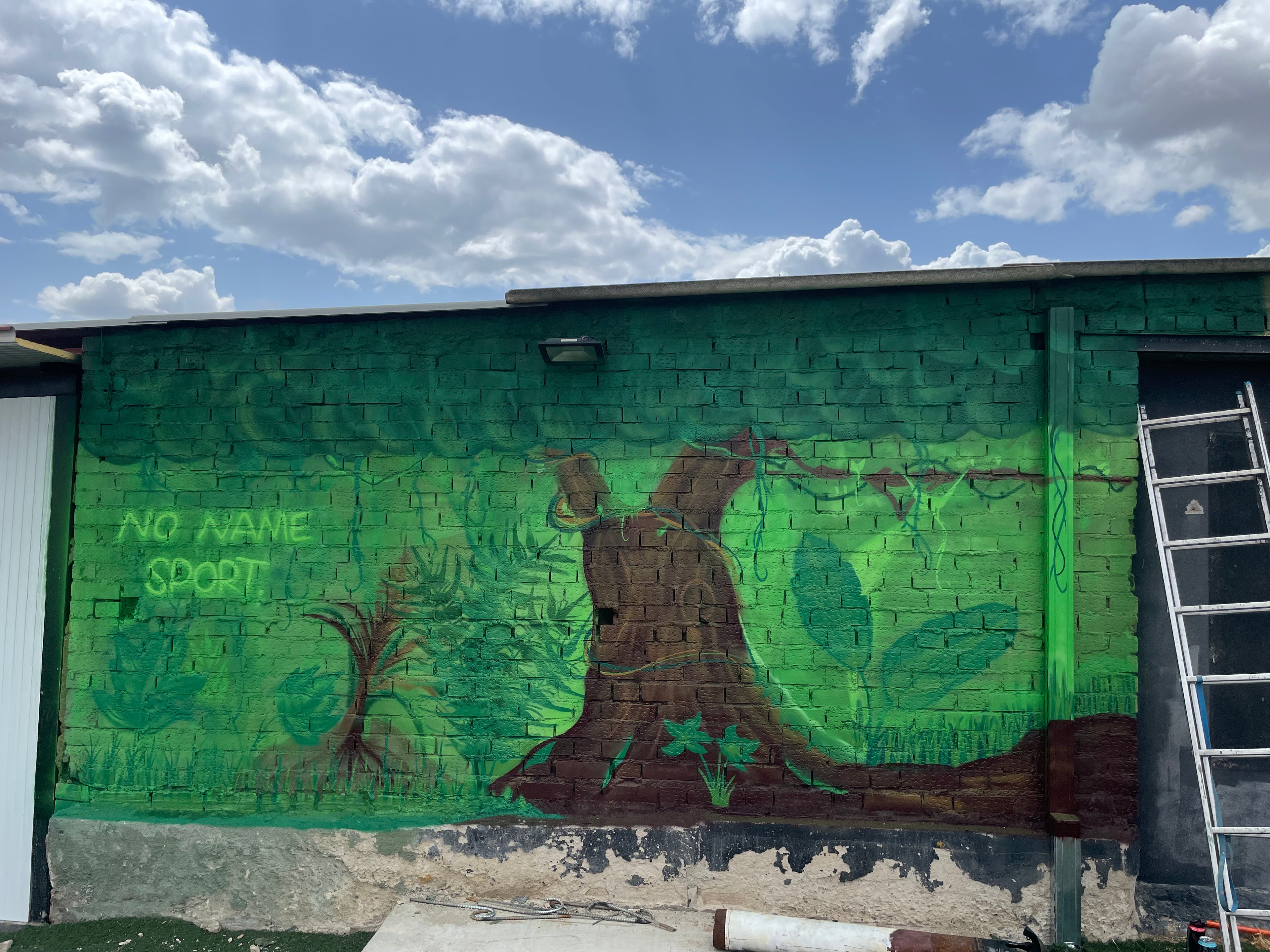 Mural Exterior Temático Jungla: NoNameSports | Team Building Madrid