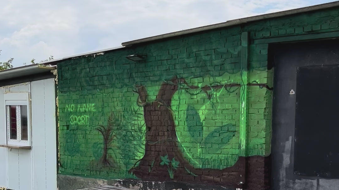 Mural Exterior Temático Jungla: NoNameSports | Team Building Madrid